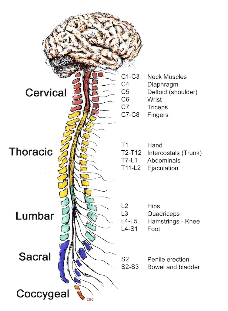 service-image